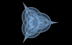 2014 04 28 blues 50-black.jpg